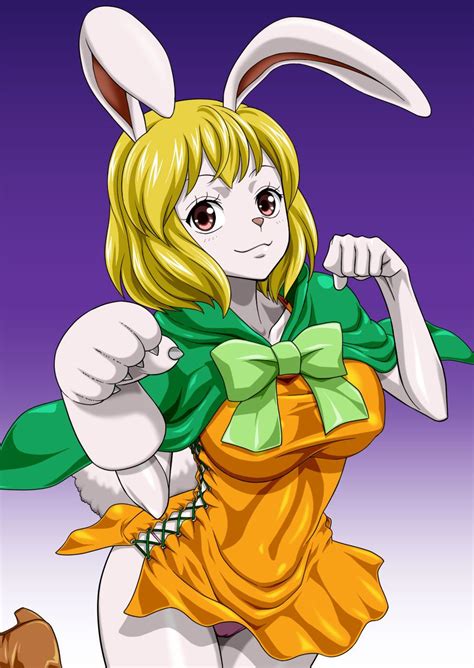 carrot one piece hentai|carrot (one piece)